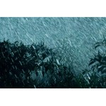 Logo of the podcast Sleepy Rain Sounds Podcast Sleepy Rain Sounds