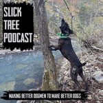 Logo of the podcast Slick Tree Podcast Podcast Slick Tree Podcast
