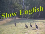 Logo of the podcast Slow English Podcast Slow English