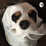 Logo of the podcast Snoring Dog Ghost Investigations (2020) Podcast Snoring Dog Ghost Investigations (2020)
