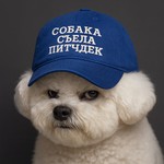 Logo of the podcast Собака съела питчдек Podcast Собака съела питчдек