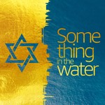 Logo of the podcast Something In The Water with Rachel Meyerowitz Podcast Something In The Water with Rachel Meyerowitz