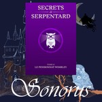 Logo of the podcast Sonorus - Secrets de Serpentard - Tome 2 : Le pensionnat Wimbley Podcast Sonorus - Secrets de Serpentard - Tome 2 : Le pensionnat Wimbley