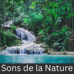 Logo of the podcast Sons de la Nature Podcast Sons de la Nature