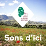 Logo of the podcast Sons d'ici Podcast Sons d'ici