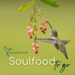 Logo of the podcast Soulfood to go Podcast Soulfood to go