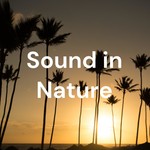 Logo of the podcast Sound in Nature Lite Podcast Sound in Nature Lite