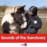 Logo of the podcast Sounds of the Sanctuary Podcast Sounds of the Sanctuary