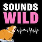 Logo of the podcast Sounds Wild Podcast Sounds Wild