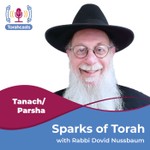 Sparks of Torah Podcast Sparks of Torah