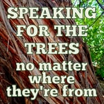 Speaking for the Trees, No Matter Where They're From Speaking for the Trees, No Matter Where They're From