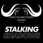 Logo of the podcast Stalking Shadows Podcast Stalking Shadows