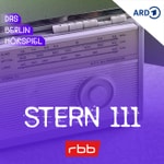 Logo of the podcast Stern 111 Podcast Stern 111