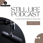 Logo of the podcast STILL LIFE PODCAST Podcast STILL LIFE PODCAST