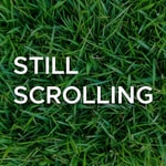 Still Scrolling Still Scrolling
