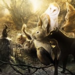Podcast Stone Circle Stories 