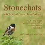 Logo of the podcast Stonechats from Wildwood Curriculum Podcast Stonechats from Wildwood Curriculum