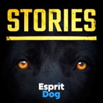 Stories - Esprit Dog