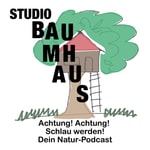 Logo of the podcast Studio Baumhaus Podcast Studio Baumhaus