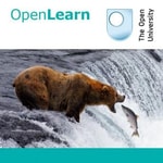 Logo of the podcast Studying mammals: the opportunists - for iBooks Podcast Studying mammals: the opportunists - for iBooks