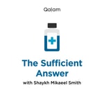 Logo of the podcast Sufficient Answer Missing podcast logo