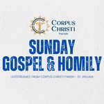 Logo of the podcast Sunday Homily Podcast Sunday Homily