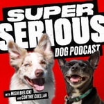 Logo of the podcast Super Serious Dog Podcast Podcast Super Serious Dog Podcast