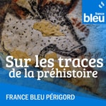 Logo of the podcast Sur les traces de la Préhistoire Podcast Sur les traces de la Préhistoire