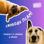 Logo of the podcast Свободу псам! Podcast Свободу псам!
