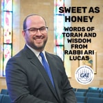 Logo of the podcast Sweet as Honey: Words of Torah and Wisdom from Rabbi Ari Lucas Podcast Sweet as Honey: Words of Torah and Wisdom from Rabbi Ari Lucas