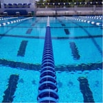 Logo of the podcast Swim talk Podcast Swim talk
