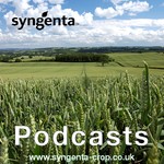 Logo of the podcast Syngenta UK Podcast Podcast Syngenta UK Podcast