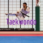 Logo of the podcast Taekwondo Podcast Taekwondo