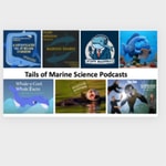 Logo of the podcast Tails of Marine Conservation Podcast Tails of Marine Conservation