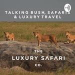 Logo of the podcast Talking Bush, Safaris & Luxury Travel Podcast Talking Bush, Safaris & Luxury Travel