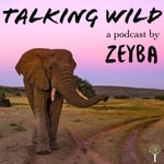 Logo of the podcast Talking Wild Podcast Talking Wild