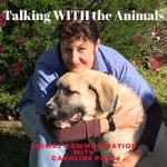 Logo of the podcast Talking WITH the Animals.    Animal Communication with Caroline Pope