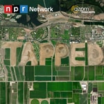 Logo of the podcast Tapped Podcast Tapped
