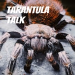 Logo of the podcast Tarantula Talk Podcast Tarantula Talk