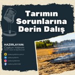 Logo of the podcast Tarımın Sorunlarına Derin Dalış Podcast Tarımın Sorunlarına Derin Dalış
