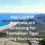 Logo of the podcast Tasmanian tiger-thylacine search mainland Australia 2025. Podcast Tasmanian tiger-thylacine search mainland Australia 2025.