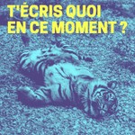 Logo of the podcast T’écris quoi en ce moment? Podcast T’écris quoi en ce moment?