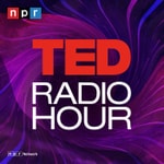 Logo of the podcast TED Radio Hour Logo of the podcast TED Radio Hour