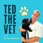 Ted The Vet : Expert Advice and Insightful Tips to Care for your Pets Ted The Vet : Expert Advice and Insightful Tips to Care for your Pets