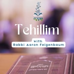 Logo of the podcast Tehillim Insights Podcast Tehillim Insights
