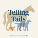 Telling Tails - français Podcast Telling Tails - français
