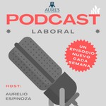 Logo of the podcast Temas jurídicos con AURES ABOGADOS EMPRESARIALES Podcast Temas jurídicos con AURES ABOGADOS EMPRESARIALES