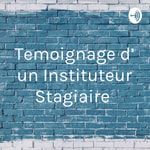 Logo of the podcast Temoignage d' un Instituteur Stagiaire Podcast Temoignage d' un Instituteur Stagiaire
