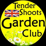 Podcast 🇬🇧 Tender Shoots ZOOM recap