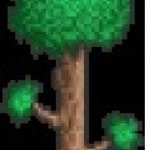 Logo of the podcast Terrarium Podcast Terrarium